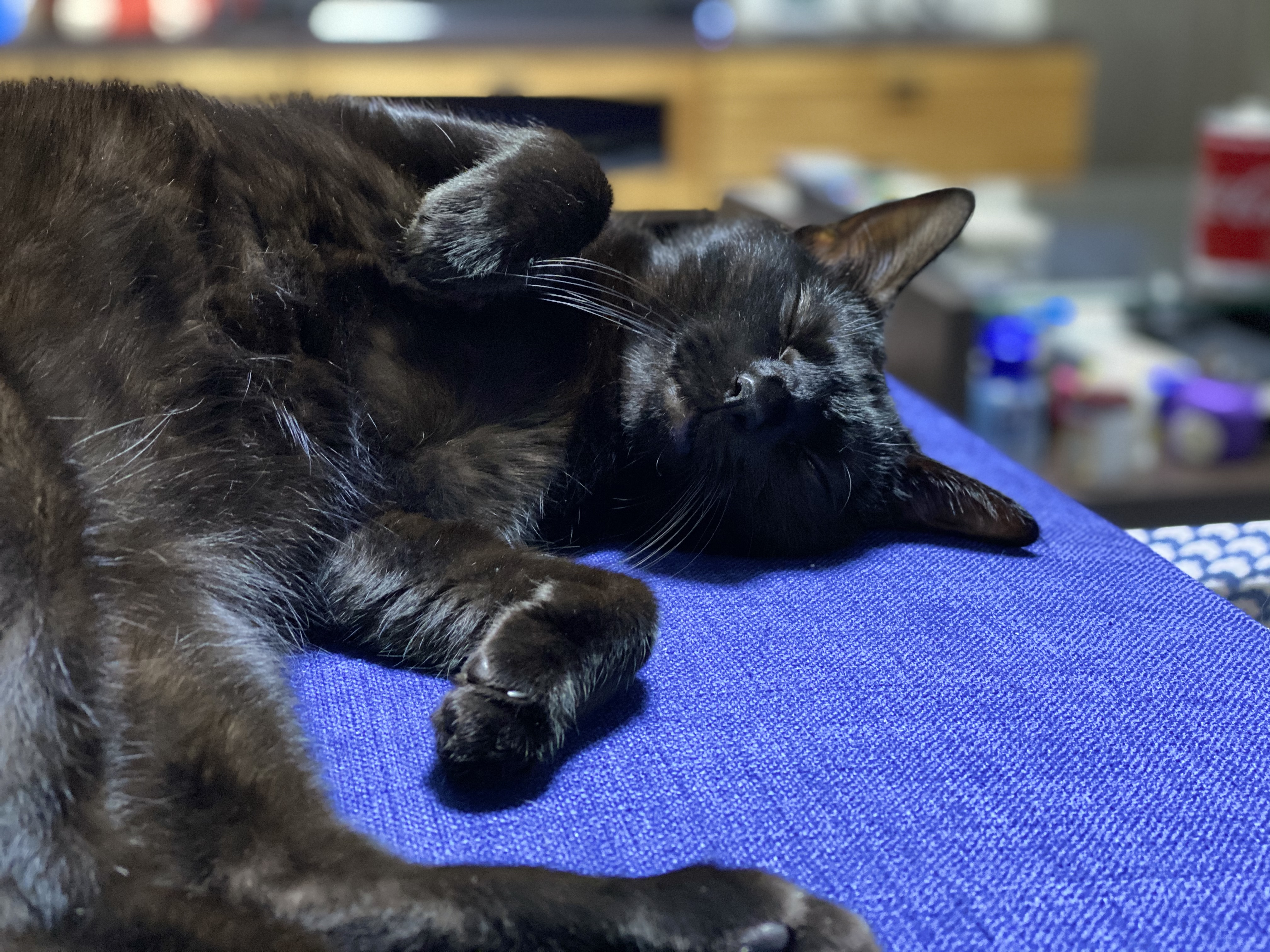 おはぎのスライド5